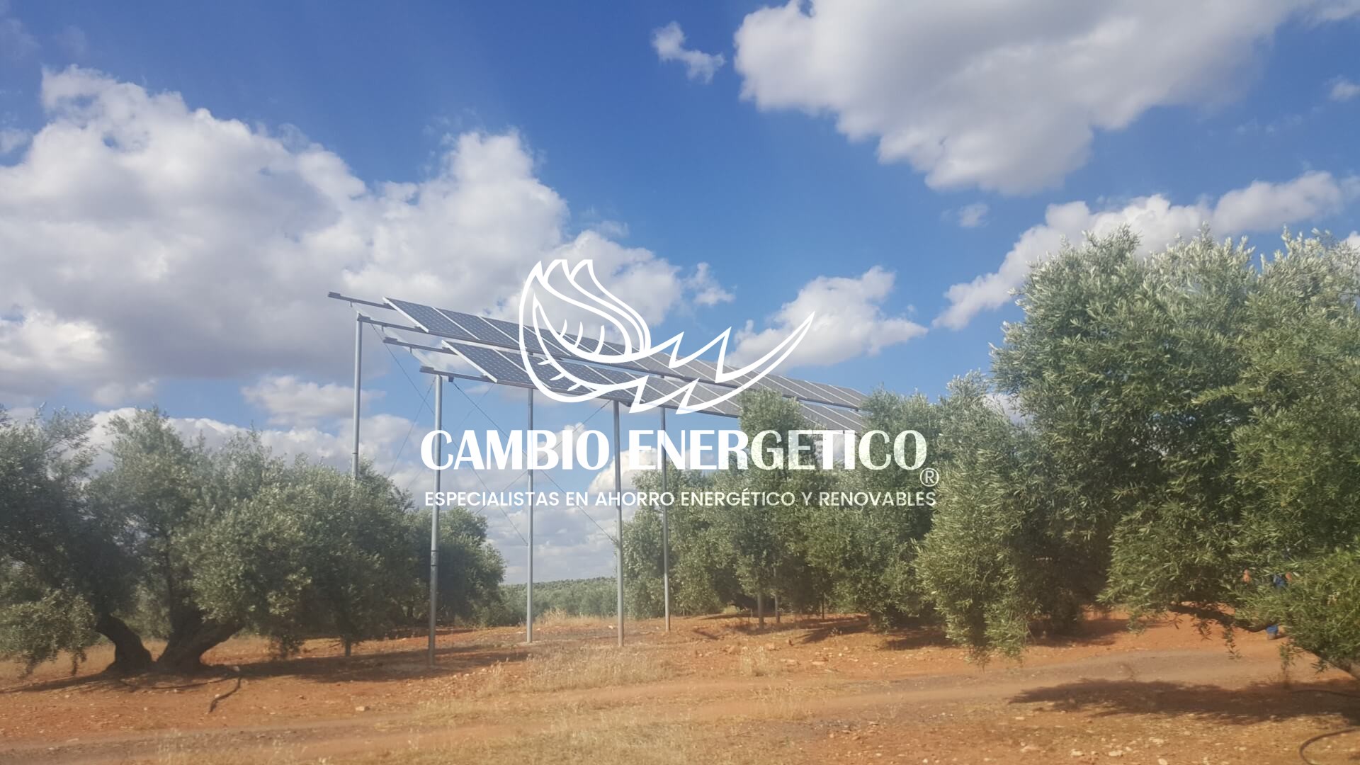 Bombeo solar olivos