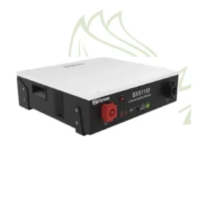 Batería de litio Dyness BX51100