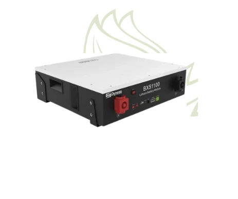 Batería de litio Dyness BX51100
