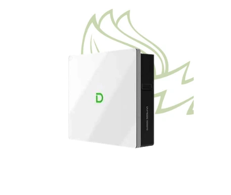 Batería de litio Dyness Powerbox G2