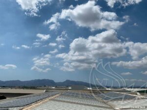 Instalación de autoconsumo en una industria de especias de Murcia