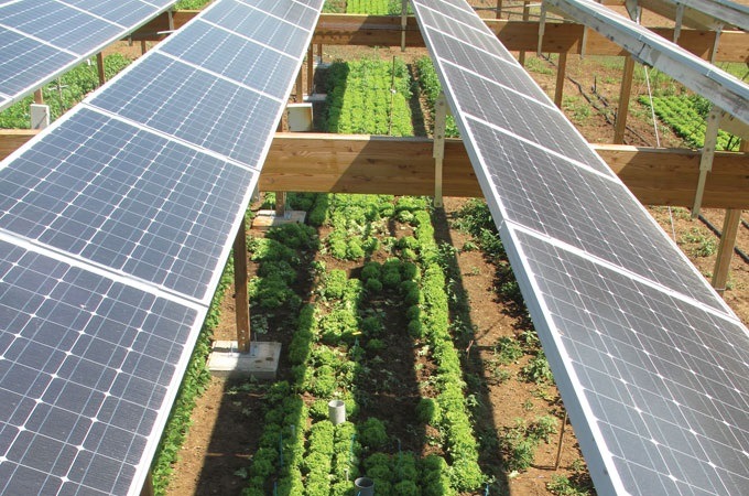 Combinación de instalación de placas solares y agricultura