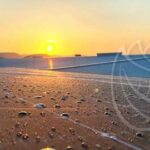 Instalación de placas solares en una industria jamonera de Ciudad Real