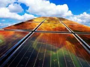 Celulas solares organicas